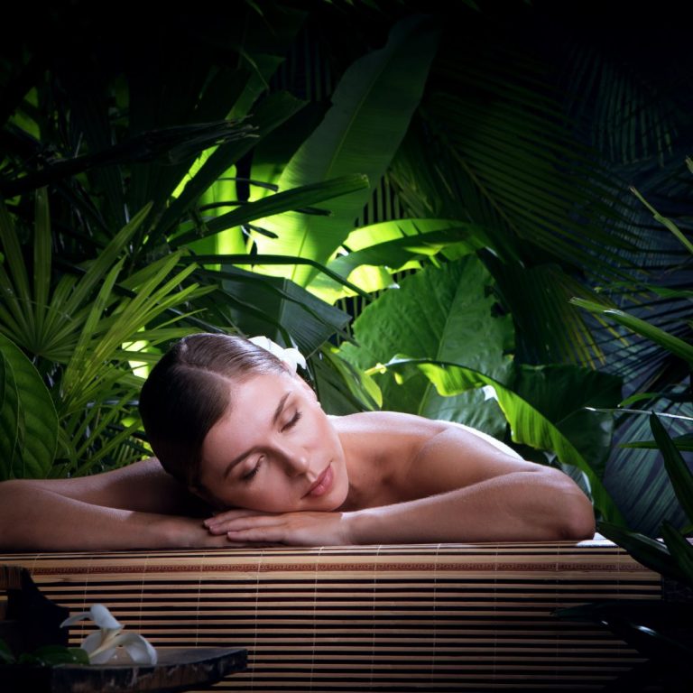 Best Spa In Sauganash Woods Chicago IL