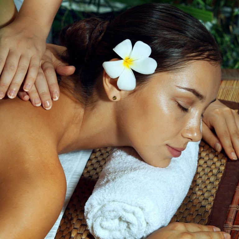 Spa In Sauganash Woods Chicago IL